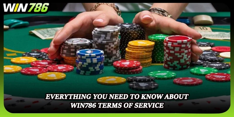 Everything you need to know about WIN786 terms of service