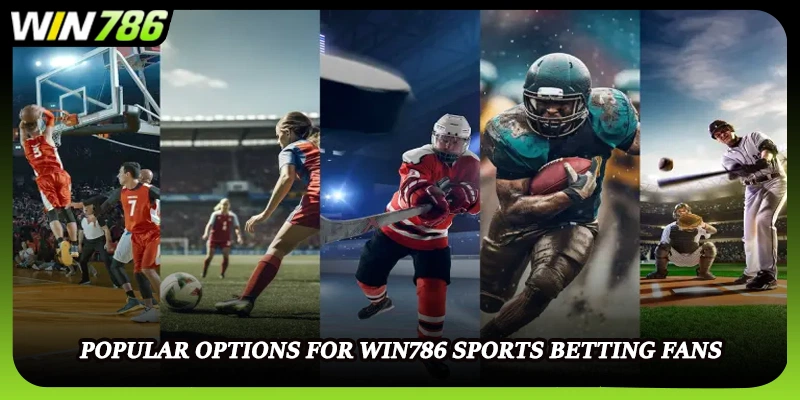 Popular options for WIN786 sports betting fans